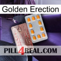 Golden Erection new13